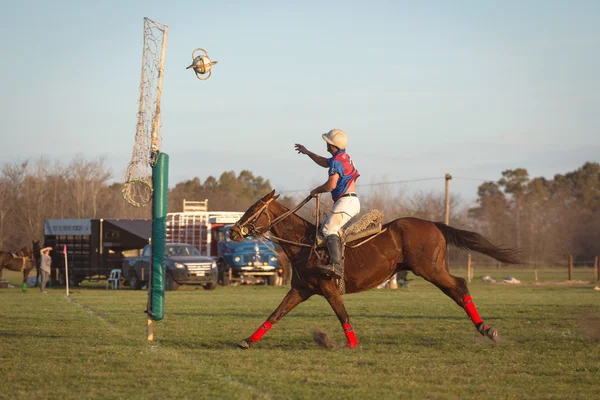 BUENOS AIRES, ARGENTINA - SEP 19: Players in the national game o — Stock fotografie