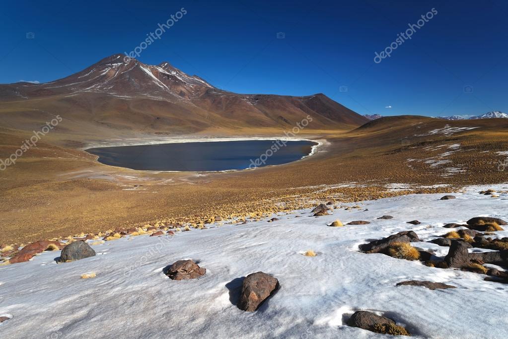 Busco mujeres solteras en la paz bolivia Busco mujeres solteras en la paz bolivia
