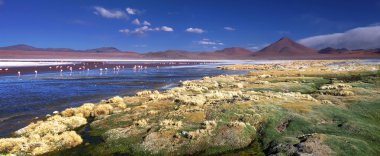 Colorada lagün ve volkan Pabellón, Altiplano, Bolivya
