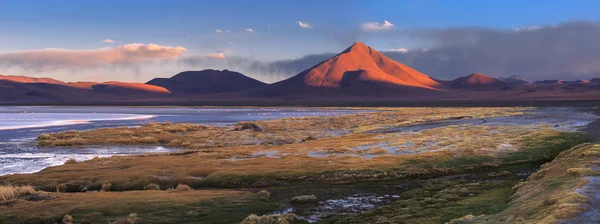 Colorada-lagúna és a vulkán Péter, határán, Bolívia — Stock Fotó