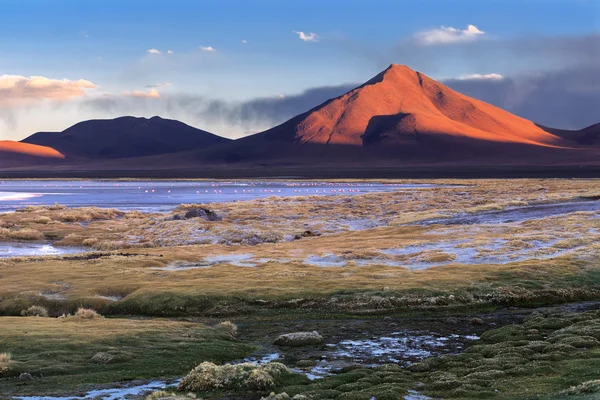 Laguna Colorada y volcán Pabellon, Altiplano, Bolivia — Foto de Stock