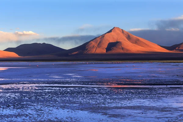 Лагуна Колорада и вулкан Пабеллон, Альтиплано, Боливия — стоковое фото