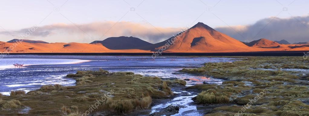 Colorada lagoon and the volcano Pabellon, Altiplano, Bolivia