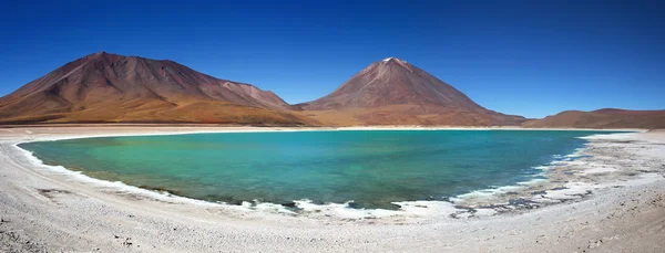 Zelená Laguna (Laguna Verde), Altiplano, Bolívie — Stock fotografie