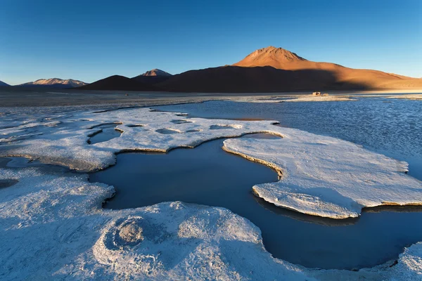 Lagoa Branca, Altiplano, Bolívia — Fotografia de Stock