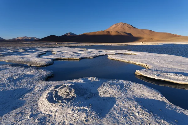 Hvid lagune, Altiplano, Bolivia - Stock-foto