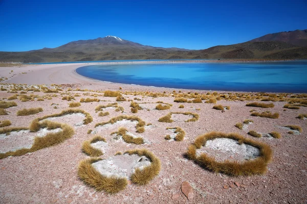 Lagon bleu ciel, volcan Uturuncu, Altiplano, Bolivie — Photo