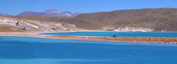 Skyblue lagunen, Uturuncu vulkan, Altiplano i Bolivia — Stockfoto