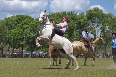 SAN ANTONIO DE ARECO, PROVINCE BUENOS AIRES, ARGENTINA - NOV 07: