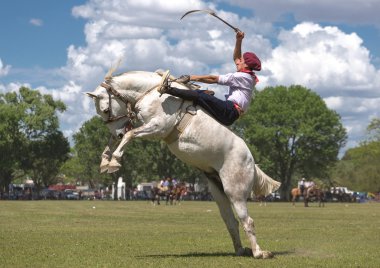 SAN ANTONIO DE ARECO, PROVINCE BUENOS AIRES, ARGENTINA - NOV 07: