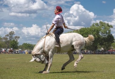 SAN ANTONIO DE ARECO, PROVINCE BUENOS AIRES, ARGENTINA - NOV 07: