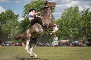 SAN ANTONIO DE ARECO, PROVINCE BUENOS AIRES, ARGENTINA - NOV 07: