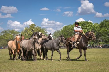 SAN ANTONIO DE ARECO, PROVINCE BUENOS AIRES, ARGENTINA - NOV 07: