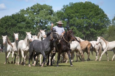 SAN ANTONIO DE ARECO, PROVINCE BUENOS AIRES, ARGENTINA - NOV 07: