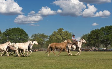 SAN ANTONIO DE ARECO, PROVINCE BUENOS AIRES, ARGENTINA - NOV 07:
