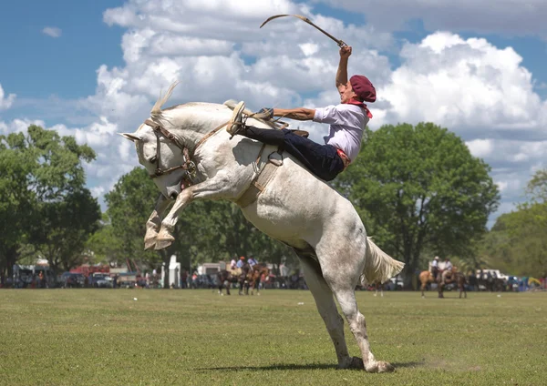 SAN ANTONIO DE ARECO, PROVINCE BUENOS AIRES, ARGENTINA - NOV 07:
