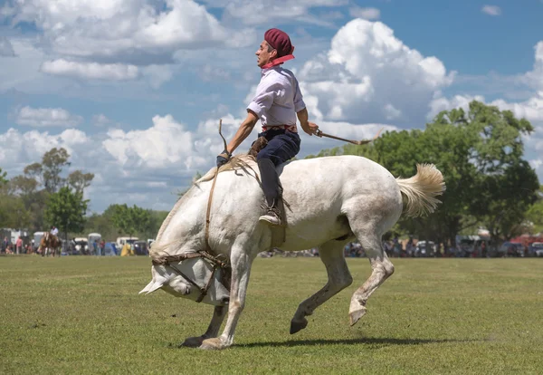 SAN ANTONIO DE ARECO, PROVINCE BUENOS AIRES, ARGENTINA - NOV 07: — Foto Stock