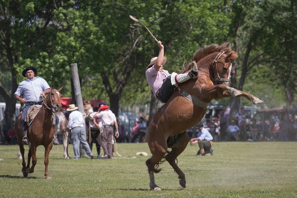 SAN ANTONIO DE ARECO, PROVINCE BUENOS AIRES, ARGENTINA - NOV 07: