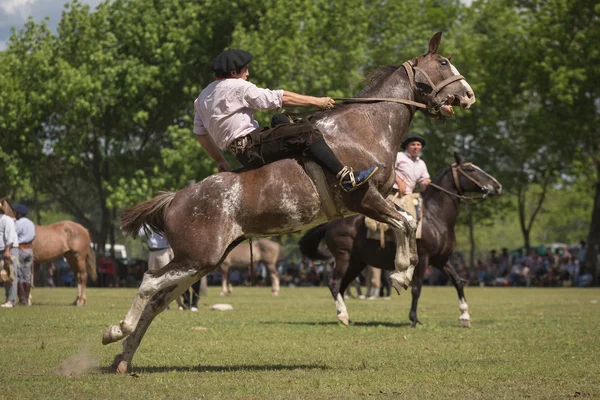 SAN ANTONIO DE ARECO, PROVINCE BUENOS AIRES, ARGENTINA - NOV 07: