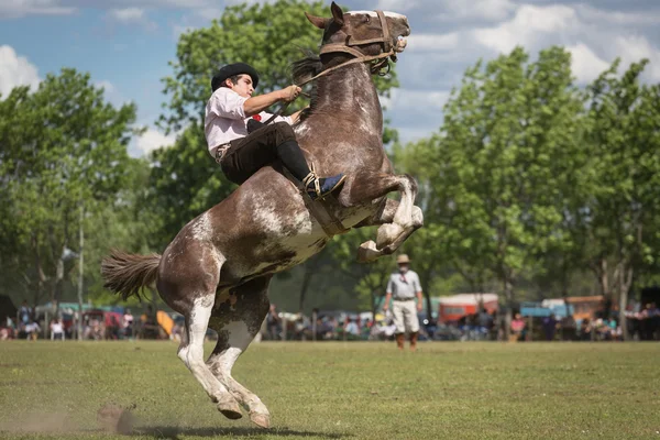 SAN ANTONIO DE ARECO, PROVINCE BUENOS AIRES, ARGENTINA - NOV 07: — Foto Stock