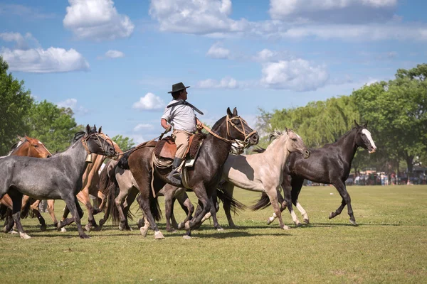 SAN ANTONIO DE ARECO, PROVINCE BUENOS AIRES, ARGENTINA - NOV 07: — Foto Stock