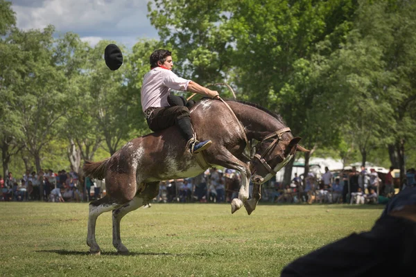 SAN ANTONIO DE ARECO, PROVINCE BUENOS AIRES, ARGENTINA - NOV 07: