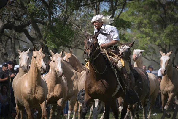 SAN ANTONIO DE ARECO, PROVINCE BUENOS AIRES, ARGENTINA - NOV 07: