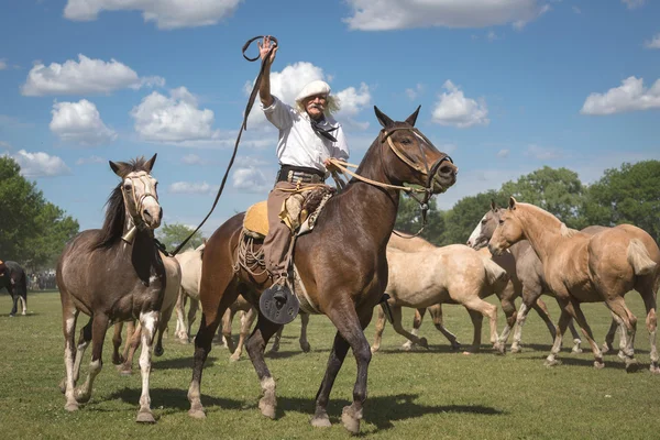 SAN ANTONIO DE ARECO, PROVINCE BUENOS AIRES, ARGENTINA - NOV 07: — Foto Stock