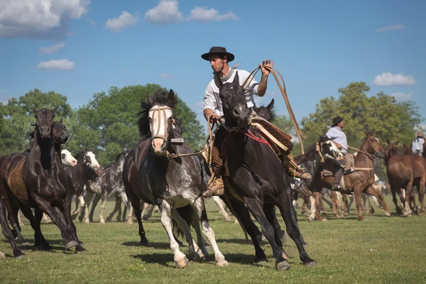 SAN ANTONIO DE ARECO, PROVINCE BUENOS AIRES, ARGENTINA - NOV 07:
