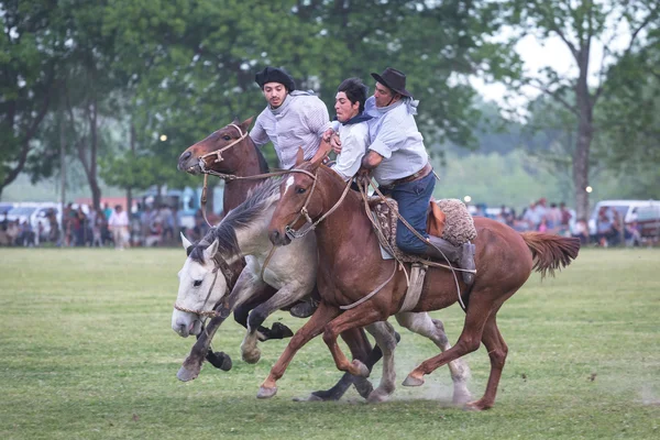 SAN ANTONIO DE ARECO, PROVINCE BUENOS AIRES, ARGENTINA - NOV 07: — Foto Stock