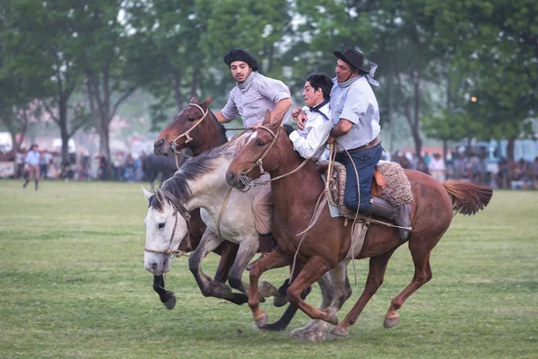 SAN ANTONIO DE ARECO, PROVINCE BUENOS AIRES, ARGENTINA - NOV 07: