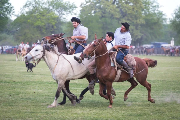 SAN ANTONIO DE ARECO, PROVINCE BUENOS AIRES, ARGENTINA - NOV 07: