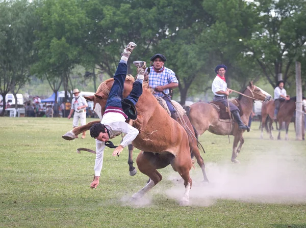 SAN ANTONIO DE ARECO, PROVINCE BUENOS AIRES, ARGENTINA - NOV 07: