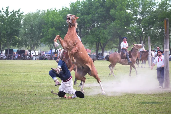 SAN ANTONIO DE ARECO, PROVINCE BUENOS AIRES, ARGENTINA - NOV 07: