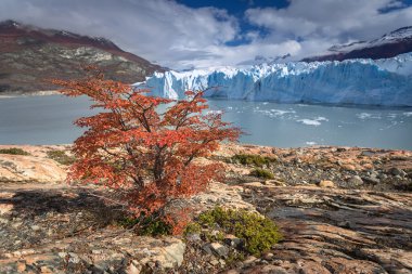 Los Glasyares, Patagonia, A buzul Perito Moreno, Milli Park