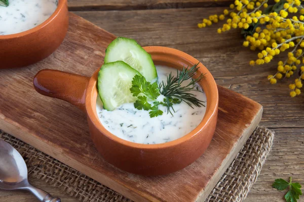 Tarator, kalte Suppe — Stockfoto