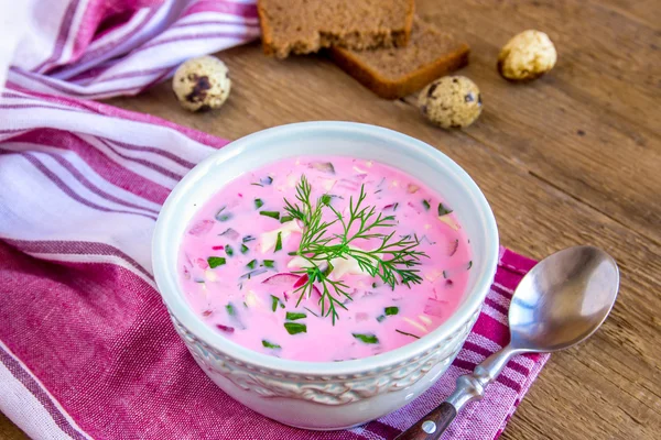 Sopa fría con yogur, verduras — Foto de Stock