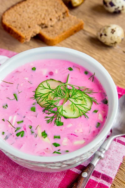 Kall soppa med yoghurt, grönsaker — Stockfoto