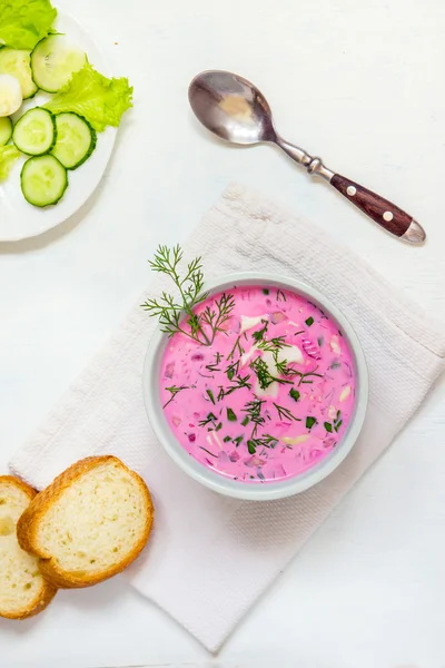 Kall soppa med yoghurt, grönsaker — Stockfoto