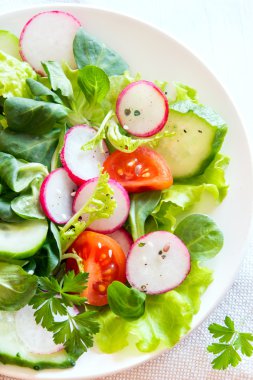 Bahar sebze salatası