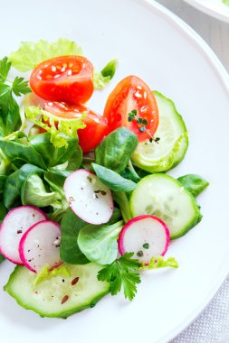 Bahar sebze salatası