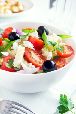 sebzeli makarna salatası