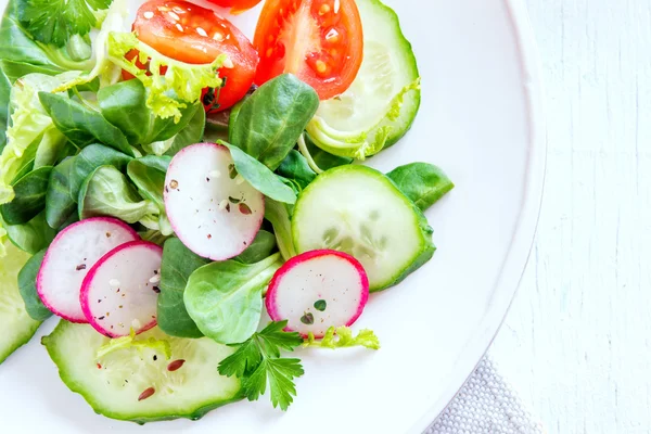 Ensalada vegetal de primavera —  Fotos de Stock