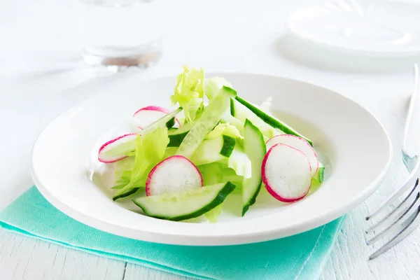 Rädisor, selleri, gurka, sallad — Stockfoto