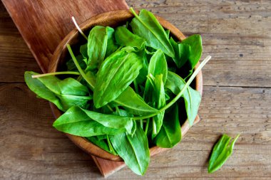 Organik kuzukulağı yaprakları