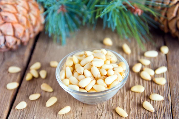 Pine nuts with cones — Stock Photo, Image