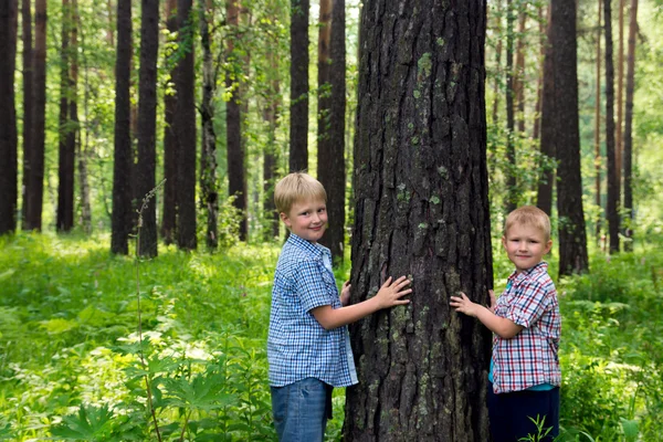 Niños abrazando el árbol —  Fotos de Stock