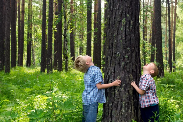 Children hugging tree