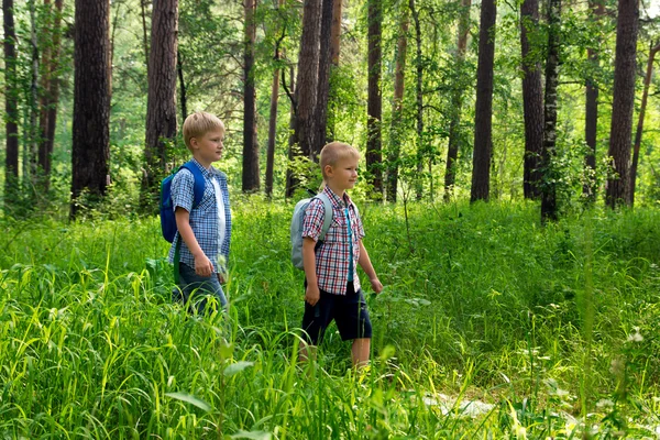 Children hiking outdoor — Stock Photo, Image