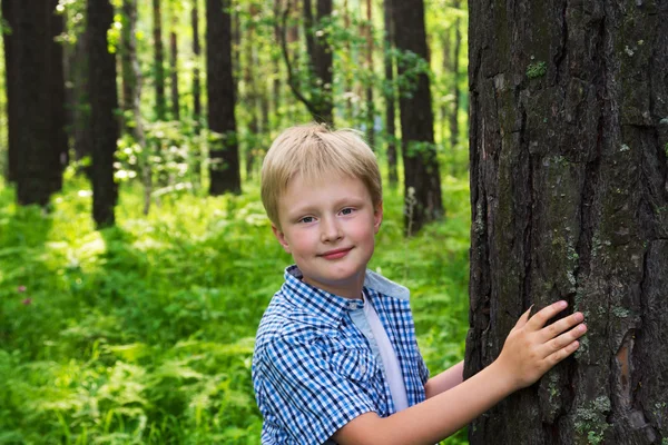孩子拥抱树 — 图库照片
